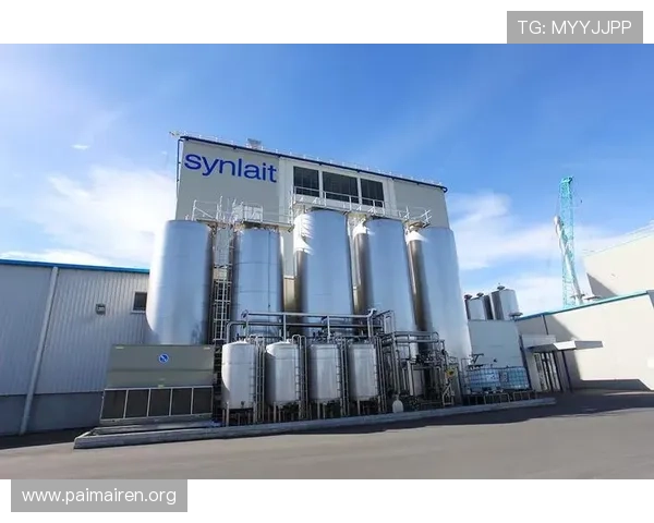 尊龙集团在游戏产业链中的上下游合作与资源整合优势 尊龙集团在游戏产业链中的上下游合作与资源整合优势